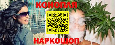 сатива Коммунар