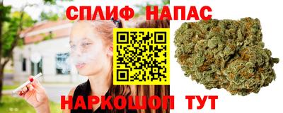 сатива Коммунар
