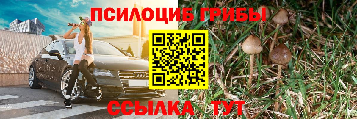 Каспийск  Галлюциногенные грибы мицелий  Галлюциногенные грибы ЛСД  Вход с VPN 